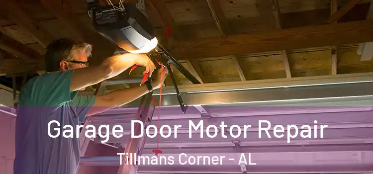  Garage Door Motor Repair Tillmans Corner - AL