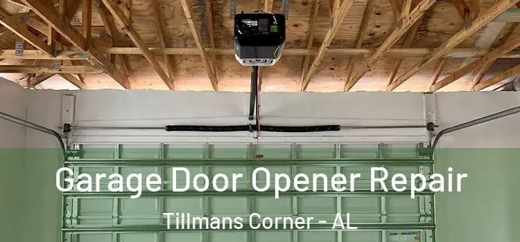  Garage Door Opener Repair Tillmans Corner - AL