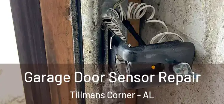 Garage Door Sensor Repair Tillmans Corner - AL