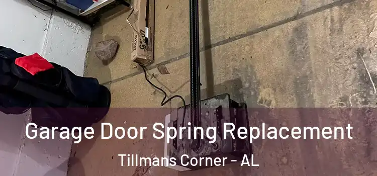  Garage Door Spring Replacement Tillmans Corner - AL