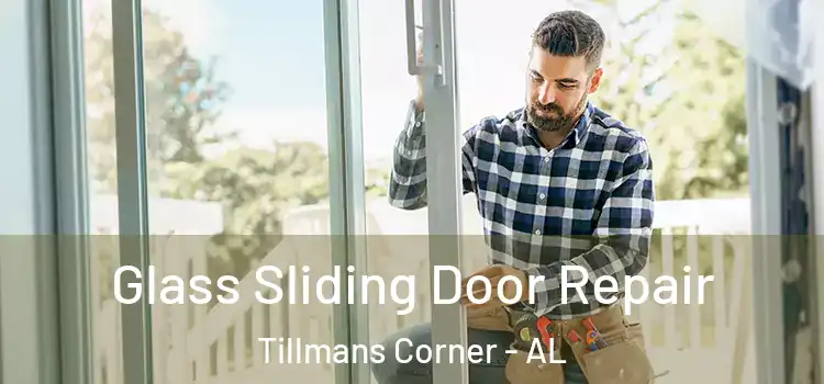 Glass Sliding Door Repair Tillmans Corner - AL