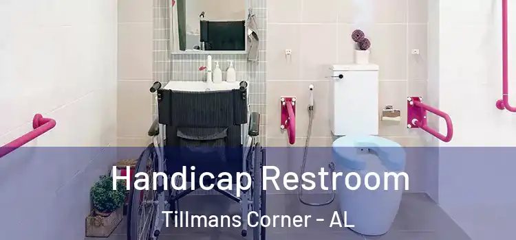 Handicap Restroom Tillmans Corner - AL