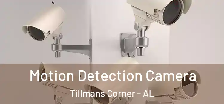  Motion Detection Camera Tillmans Corner - AL